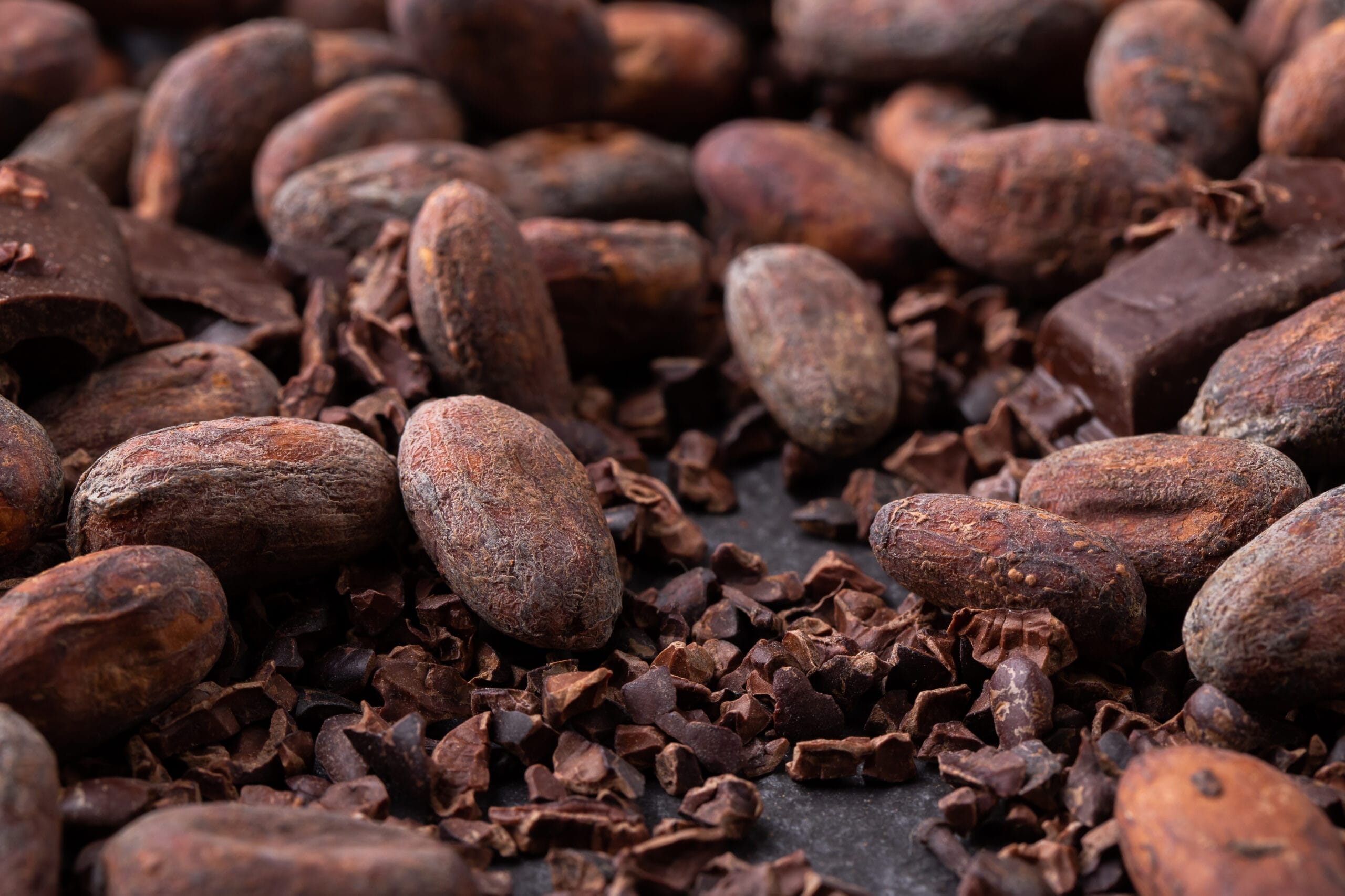 Image illustrative de l'article "Bayonne et le chocolat : une épopée gourmande au cœur du Pays Basque"